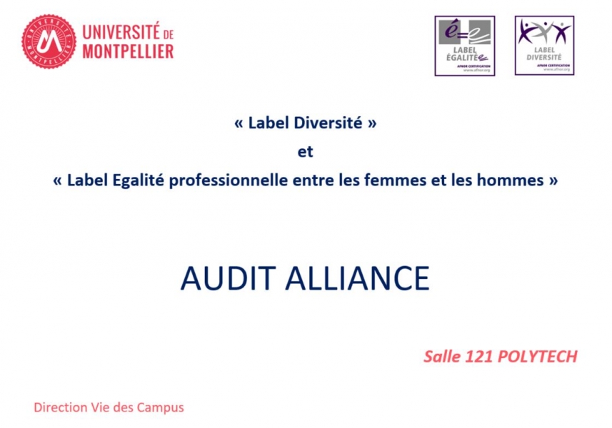 Affiche_Audit_Alliance